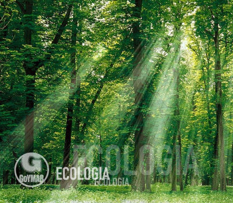 Foto Ecología